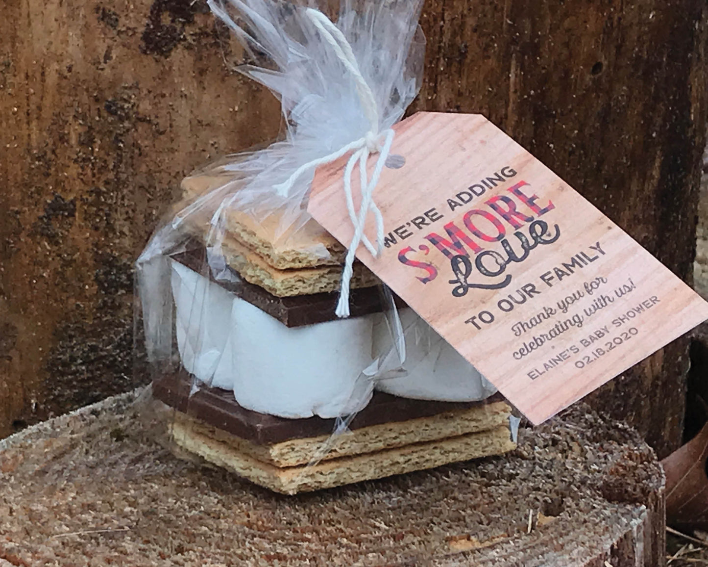 S'More Party Favor