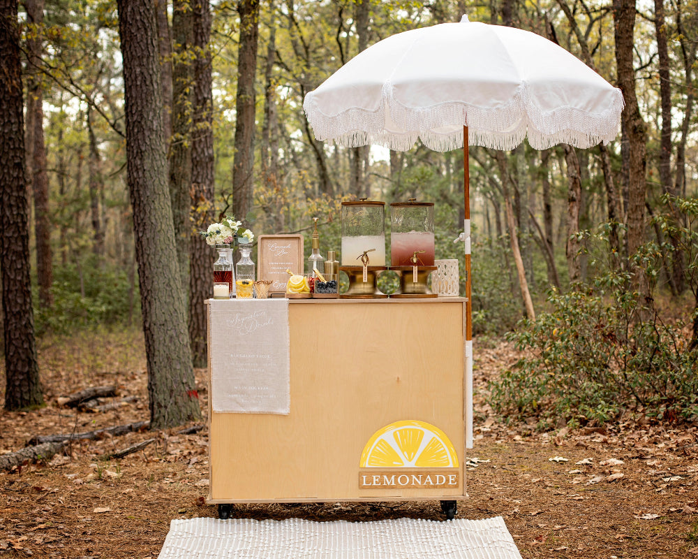 LEMONADE BAR SIGNAGE